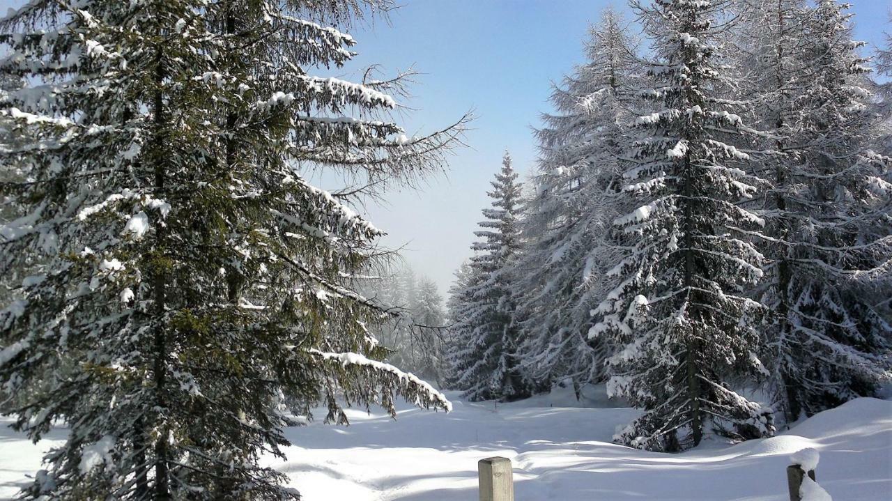 Ferienwohnung Dolomitenpanorama Oberlienz Екстериор снимка
