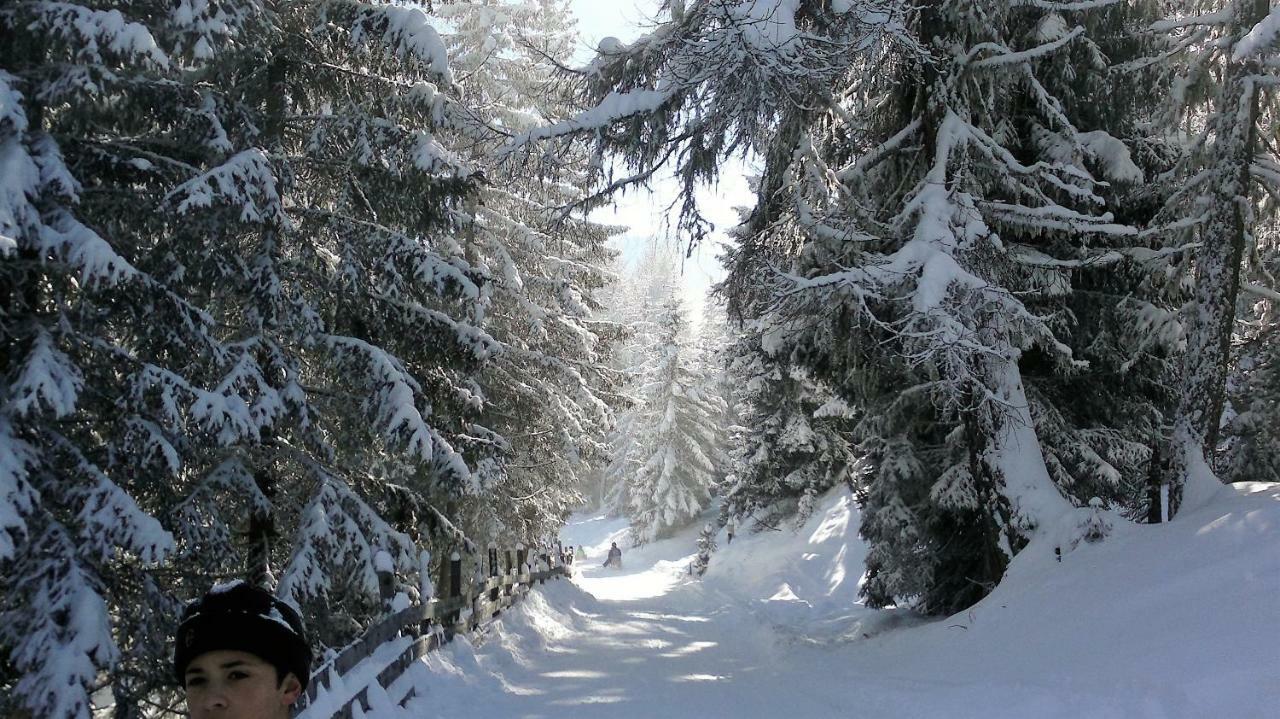 Ferienwohnung Dolomitenpanorama Oberlienz Екстериор снимка
